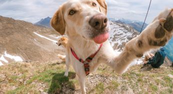 10 Travel Influencers to Follow in 2023 for Inspirational Quotes and Captions