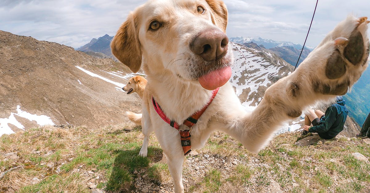 10 Travel Influencers to Follow in 2023 for Inspirational Quotes and Captions