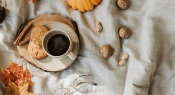 Finding Comfort in Cookies: A Delicious Antidote to Digital Overload