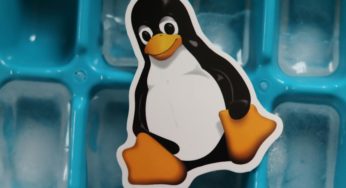 Understanding Linux System for Your Web Development Project