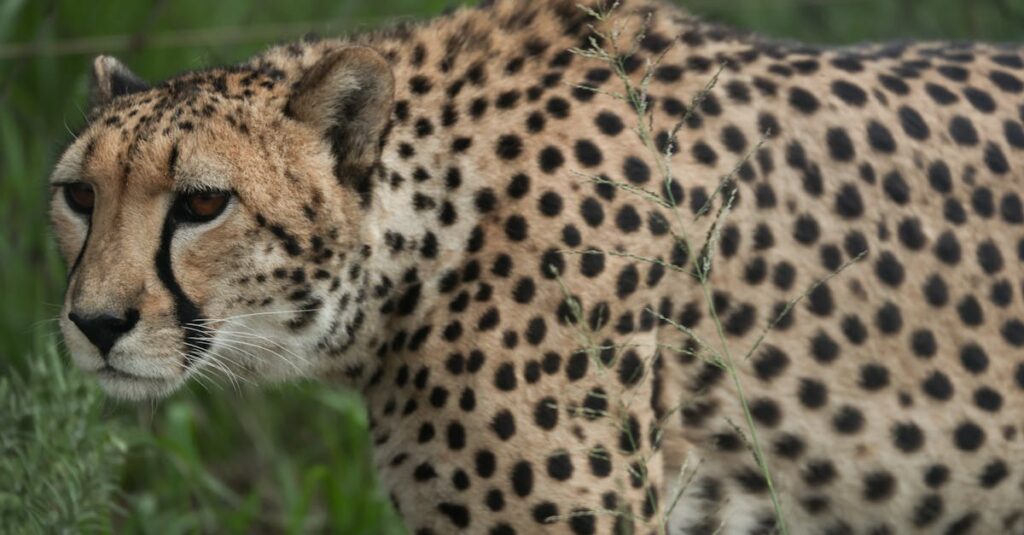 Top Affordable Power Supply Options for DIY Projects