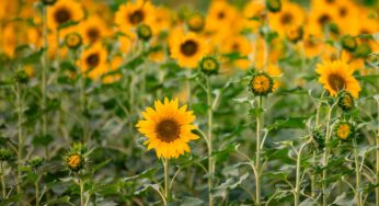 Unlocking Business Growth: Cash Flow Strategies from Mike Milan