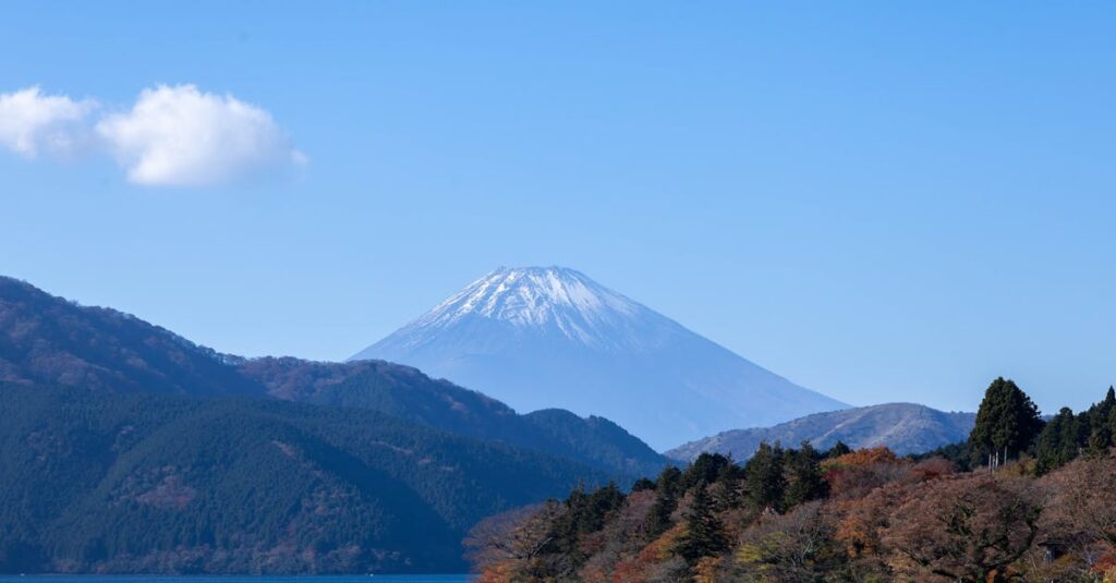 From Hesitation to Renovation – How One Rocky Mount Homeowner Discovered the Smartest Investment They Ever Made