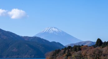 From Hesitation to Renovation – How One Rocky Mount Homeowner Discovered the Smartest Investment They Ever Made